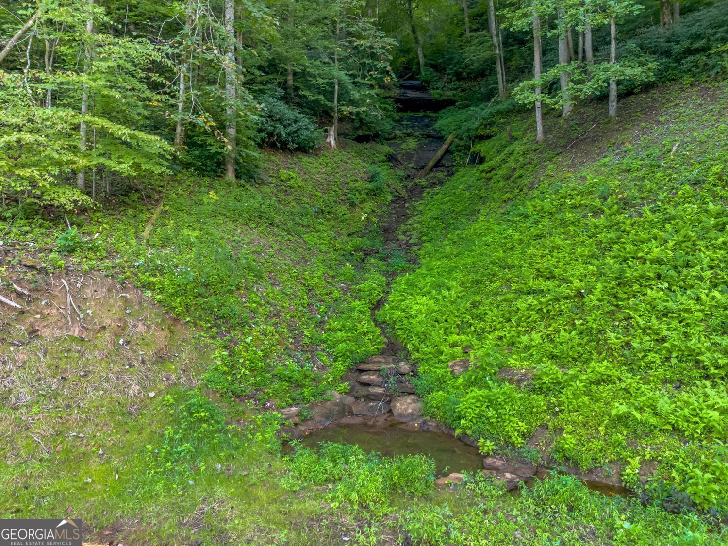 1063 Rickman Airfield Road Clayton, GA 30525 - Photo 31 of 34 Waterfall view from the property