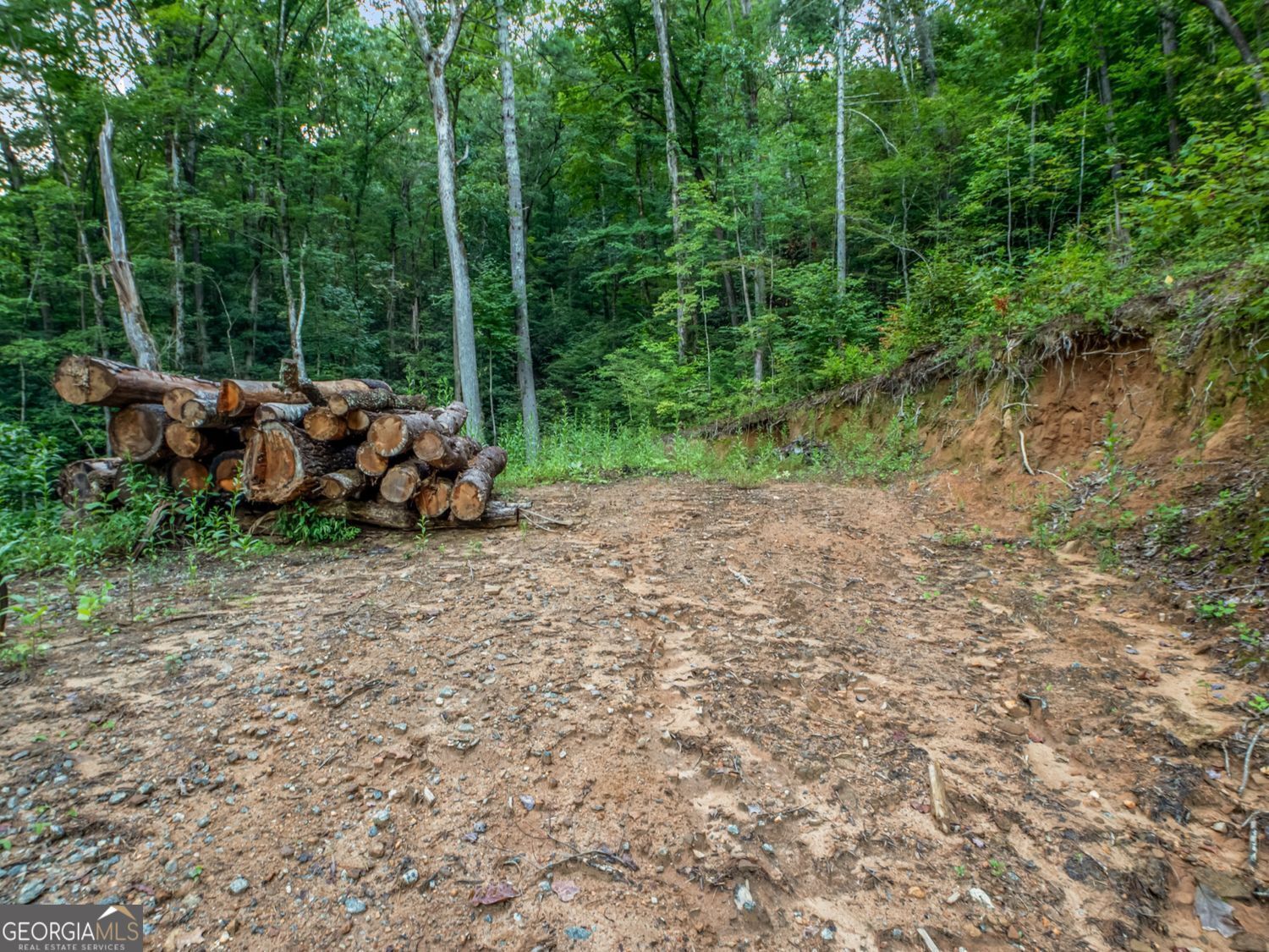 1063 Rickman Airfield Road Clayton, GA 30525 - Photo 32 of 34 Cleared lower level build site.