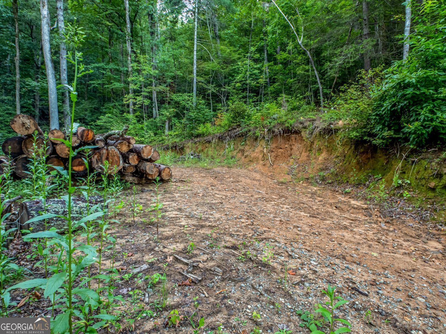 1063 Rickman Airfield Road Clayton, GA 30525 - Photo 33 of 34