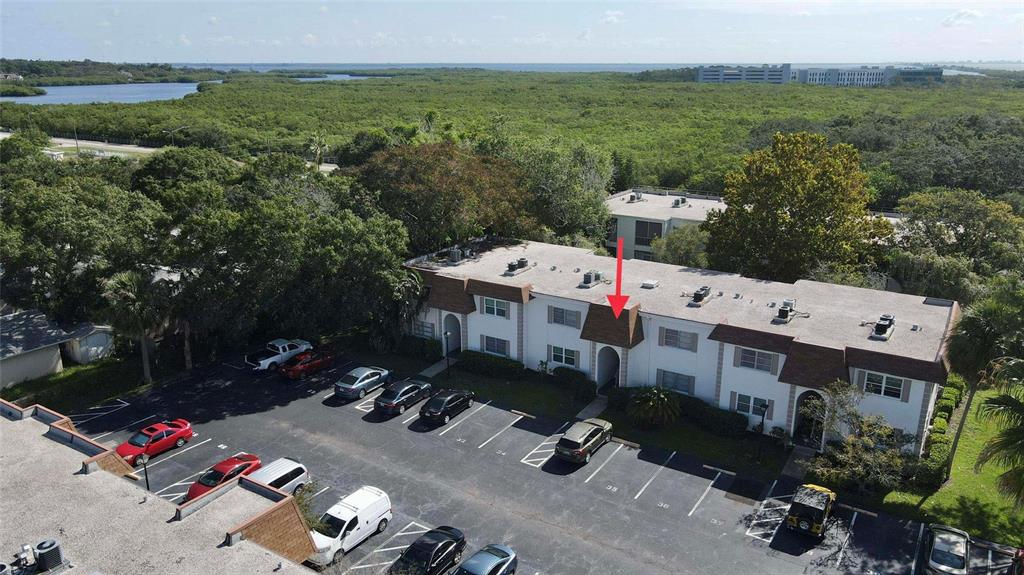 241 South McMullen Booth Road, Unit 34 Clearwater, FL 33759 - Photo 25 of 30