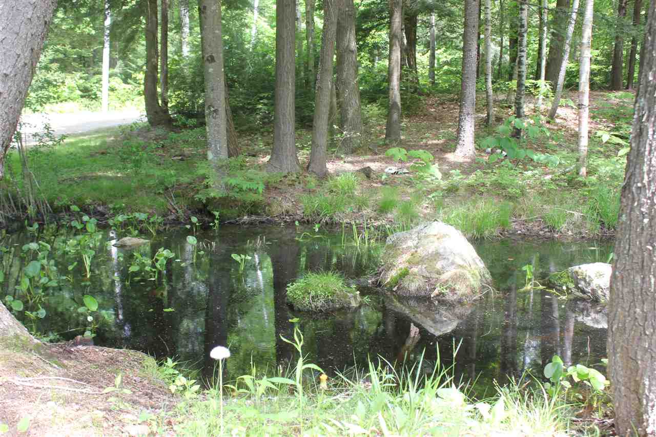 879 Marsh Hill Road Andover, VT 05143 - Photo 35 of 37
