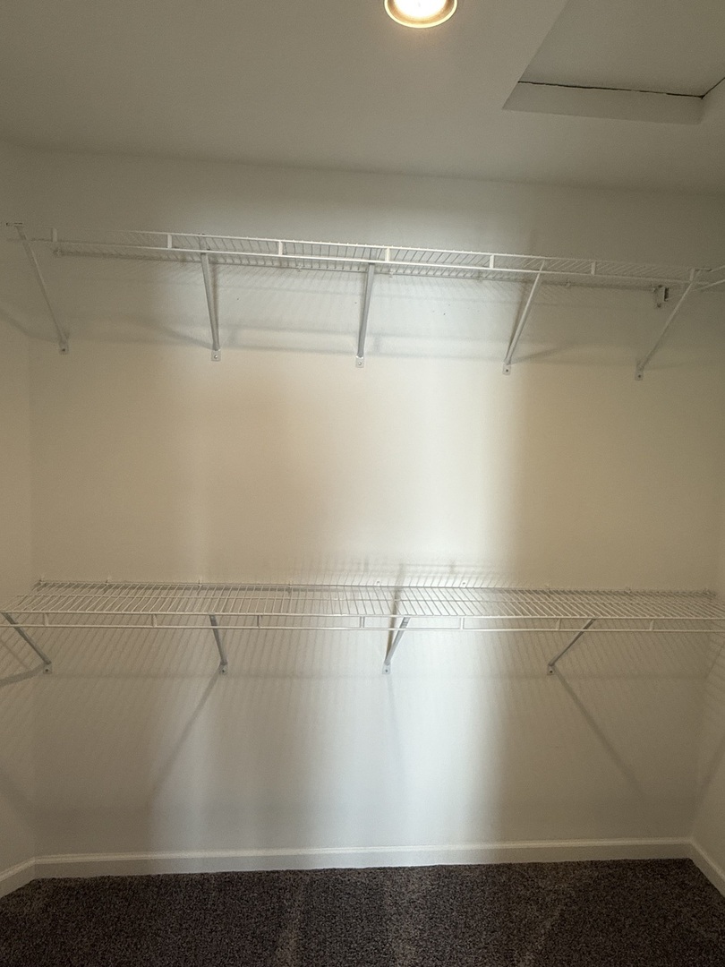 1603 Riverside Circle Dixon, IL 61021 - Photo 11 of 20 a view of a shelf