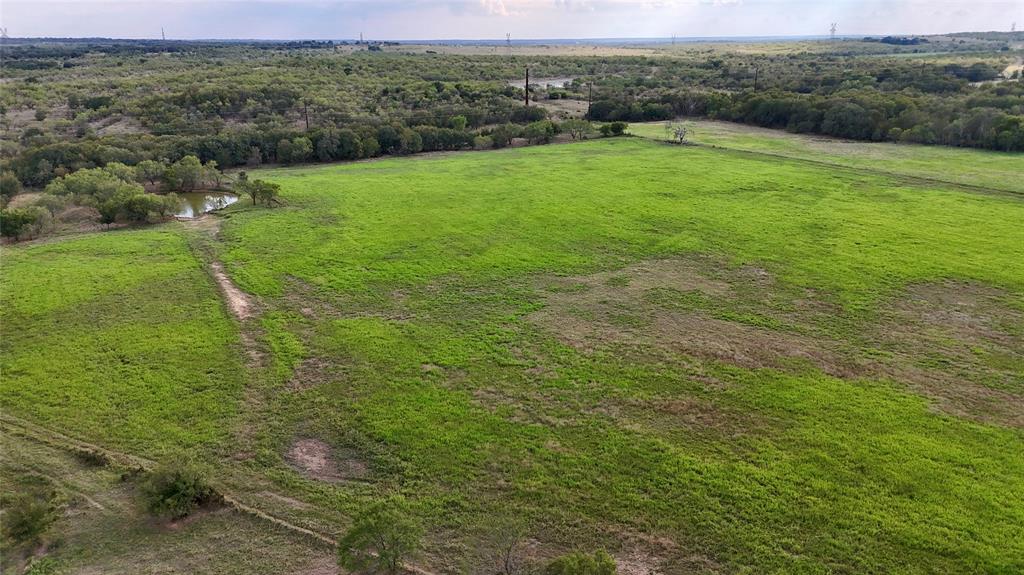 2101 Erwin Road Jacksboro, TX 76458 - Photo 10 of 26 a view of a lush green field