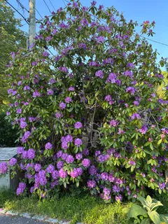 $789,900 | 129 Hamlin Avenue, Falmouth, MA 02540