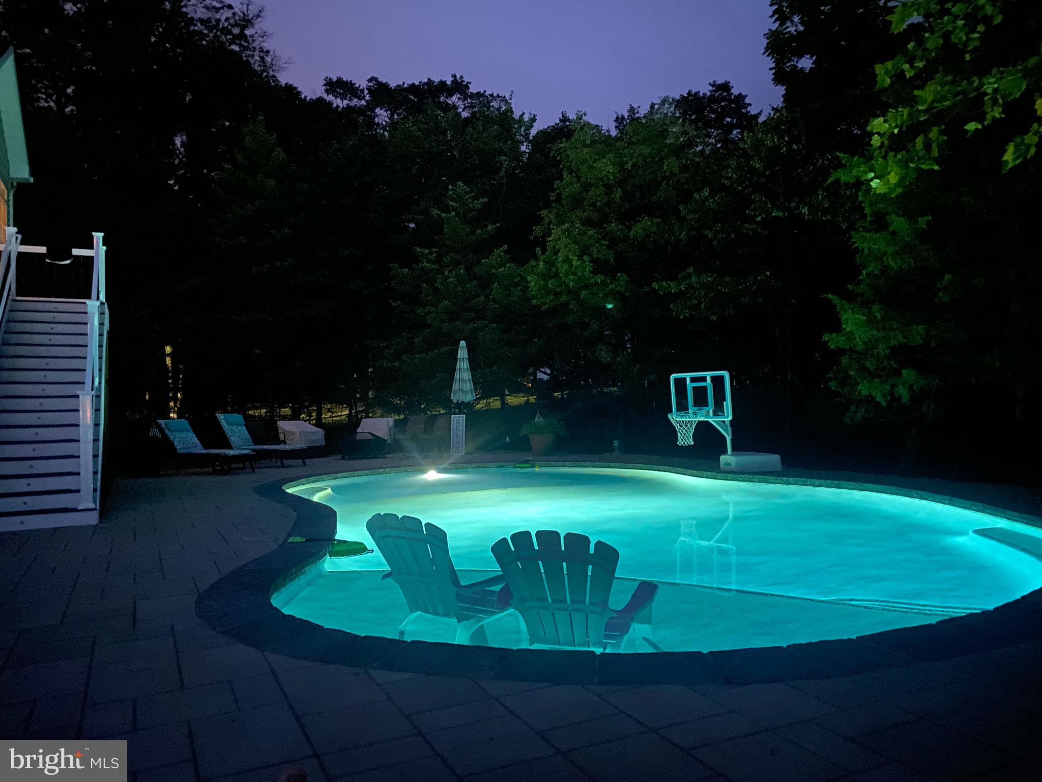 9801 Thoroughbred Road Warrenton, VA 20187 - Photo 110 of 119 Pool at night