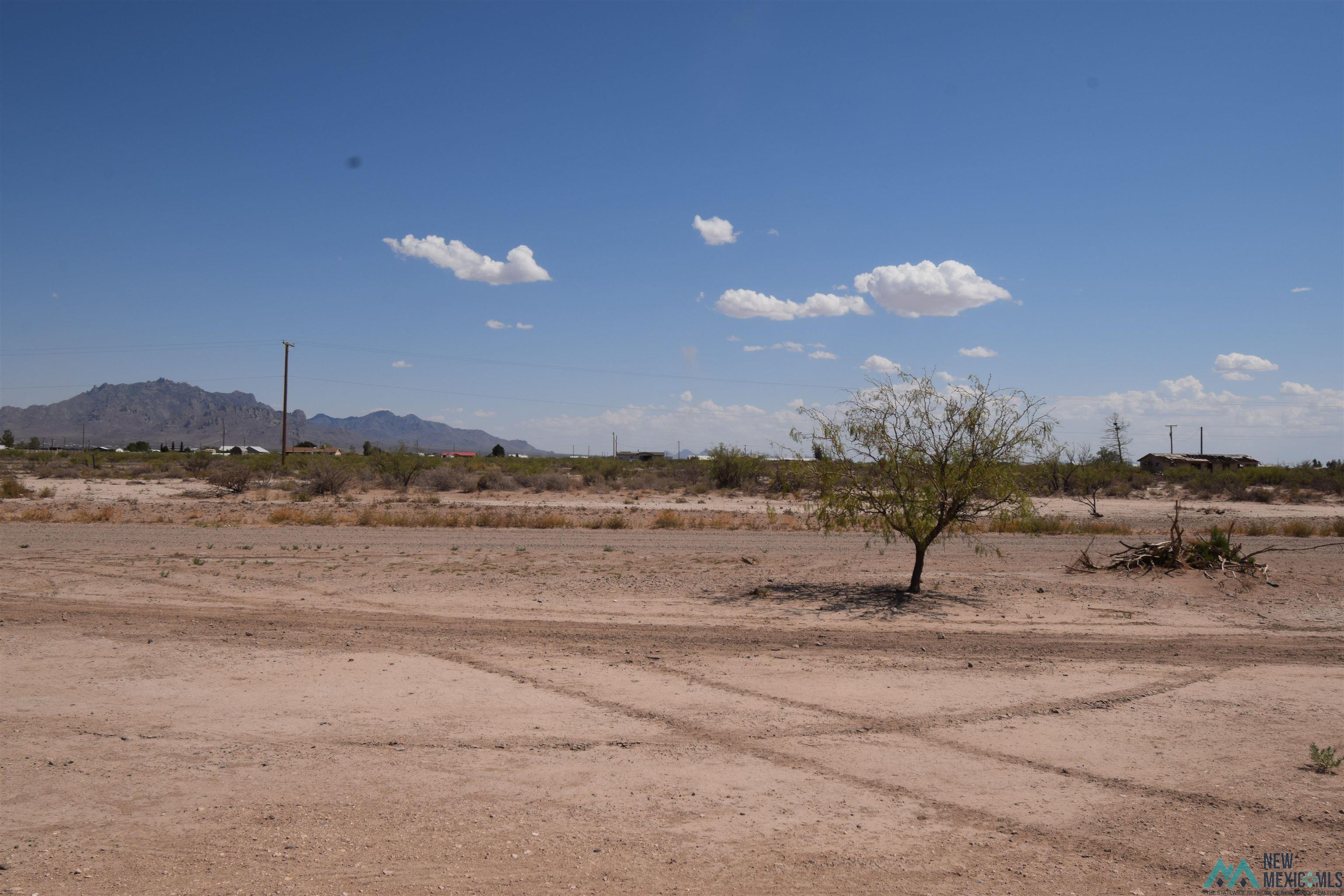 5795 Brangus Road Southeast Deming, NM 88030 - Photo 50 of 54 Gallery Image 50