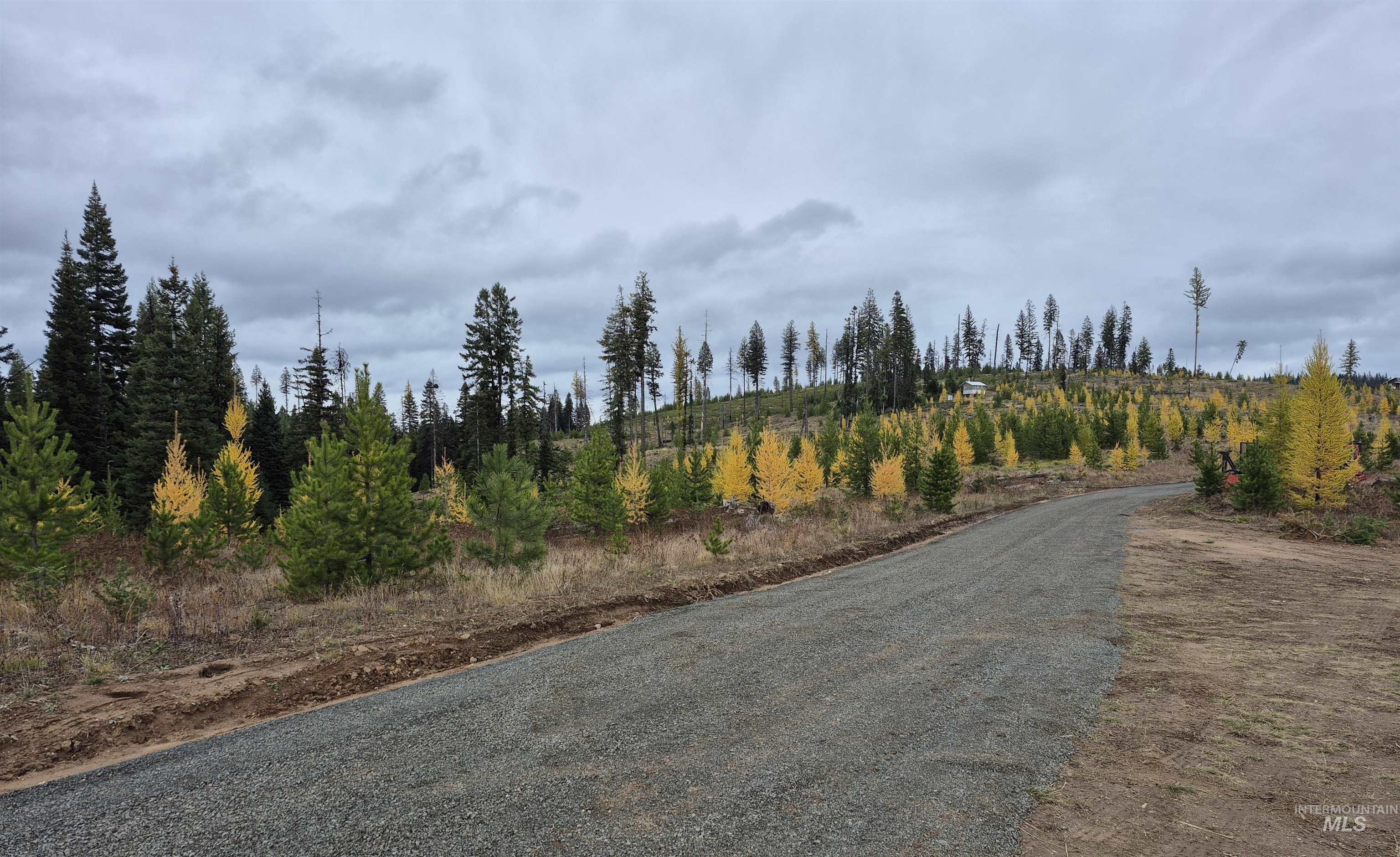 View of dirt / gravel road