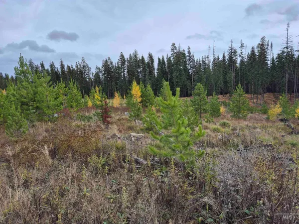 $269,000 | 3 French Gulch Road, Elk City, ID 83525