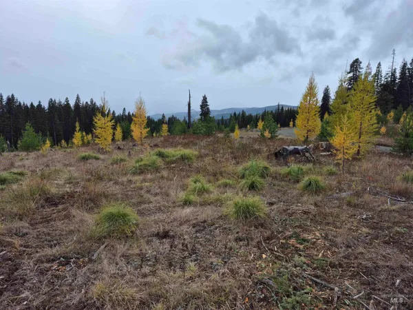 $269,000 | 3 French Gulch Road, Elk City, ID 83525