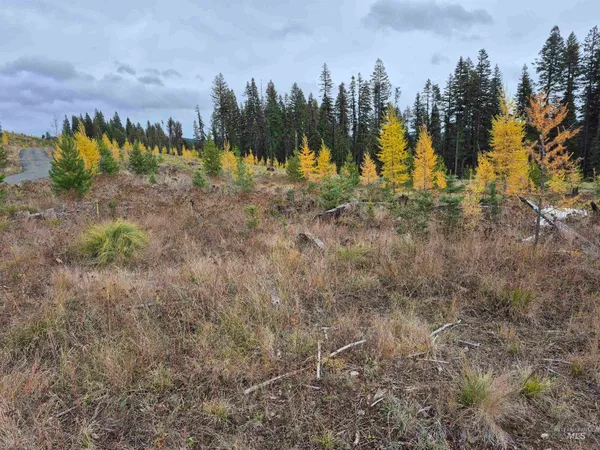 $269,000 | 3 French Gulch Road, Elk City, ID 83525