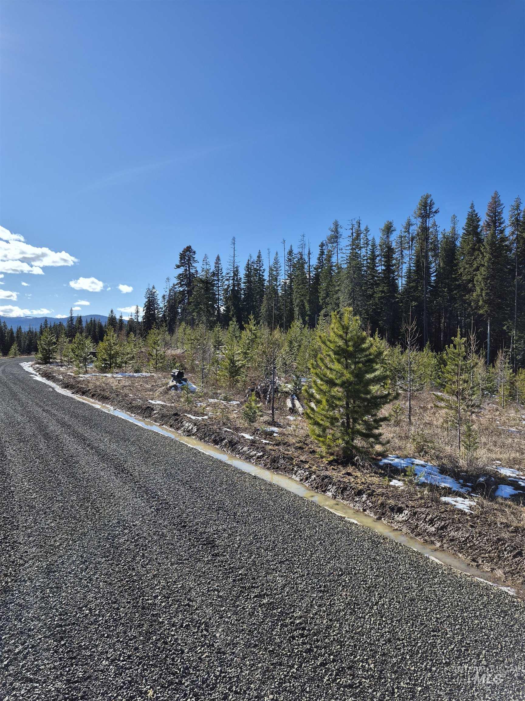 3 French Gulch Road Elk City, ID 83525 - Photo 9 of 11 View of asphalt street