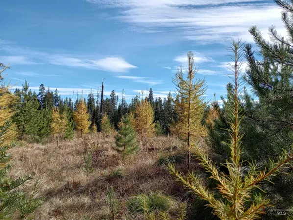 $269,000 | 3 French Gulch Road, Elk City, ID 83525
