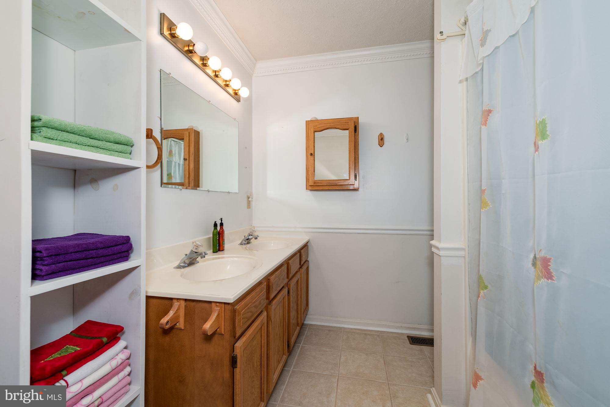 781 River Vw Road Rileyville, VA 22650 - Photo 11 of 16 a bathroom with a sink vanity and mirror
