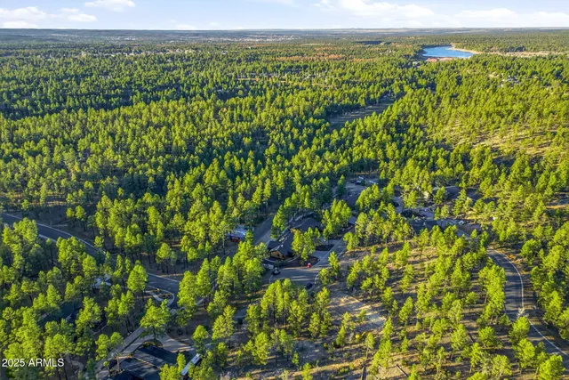 a view of a dining table with painted walls