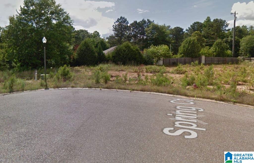 0 Spring Court, Unit 5 Clanton, AL 35045 - Photo 5 of 5