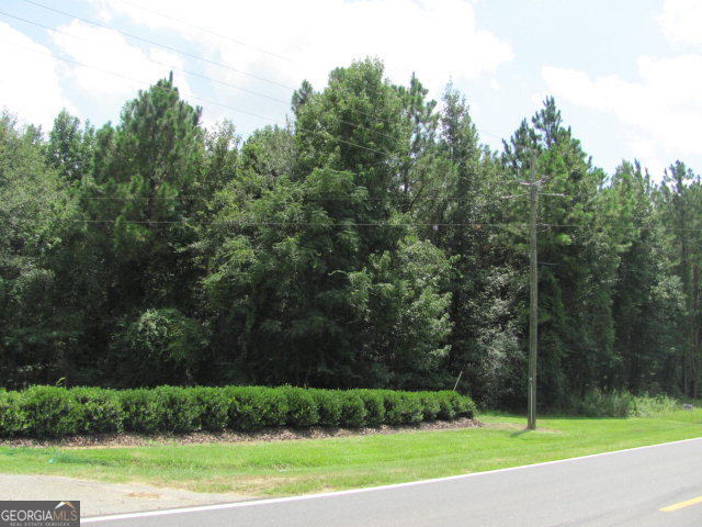 120 J A Yawn Road Hazlehurst, GA 31539 - Photo 1 of 1 Main View