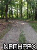 800 Alfred Road Akron, OH 44306 - Photo 4 of 11 Drive Way