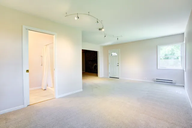 a view of a garden with plants and large trees