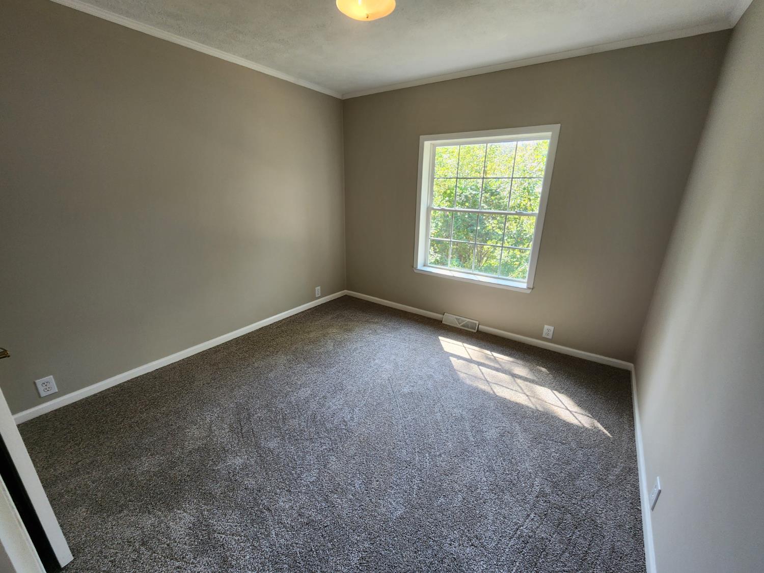 5358 Highway 262 Rising Sun, IN 47040 - Photo 11 of 24