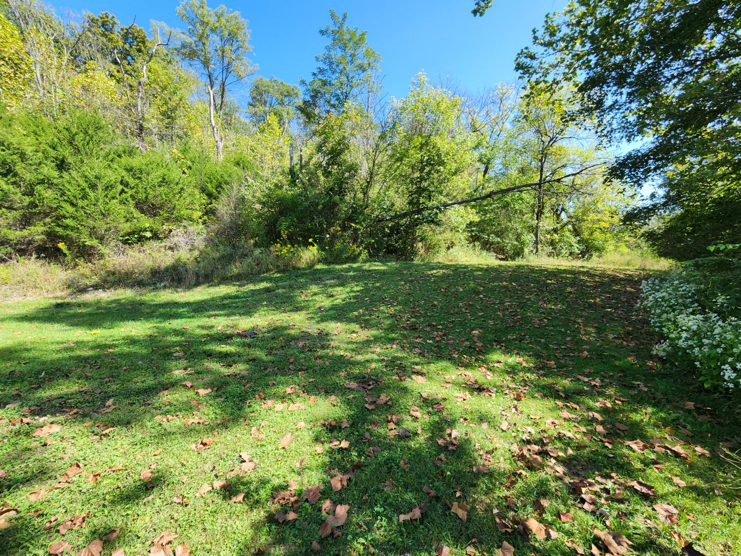 5358 Highway 262 Rising Sun, IN 47040 - Photo 22 of 24