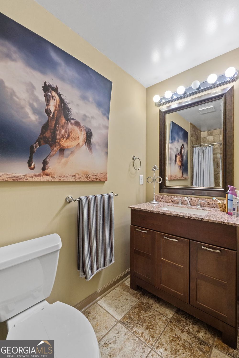 8272 Old Zebulon Road Molena, GA 30258 - Photo 27 of 53 a bathroom with a toilet a sink and mirror