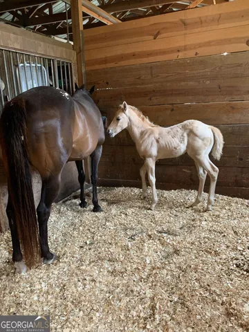 a view of a house with a big yard and large trees