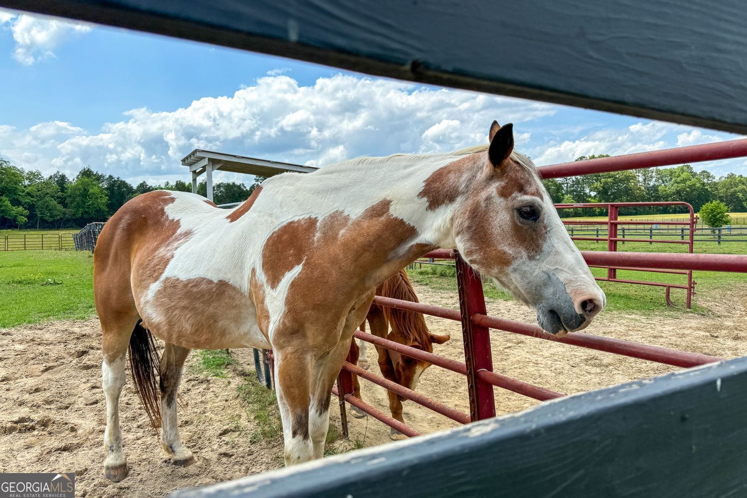 8272 Old Zebulon Road Molena, GA 30258 - Photo 50 of 53 a view of a yard with large trees and wooden fence