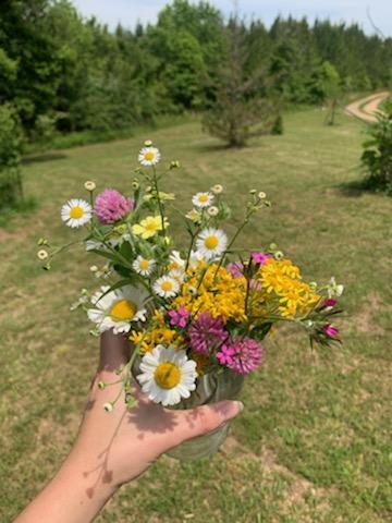 2562 Sandy River Road Axton, VA 24054 - Photo 18 of 26 a view of a flower