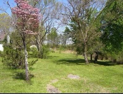 2562 Sandy River Road Axton, VA 24054 - Photo 3 of 26 a view of yard with green space