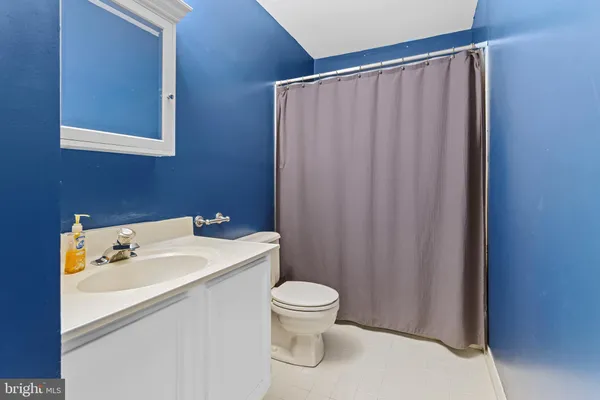 a bathroom with a sink a toilet and shower curtain