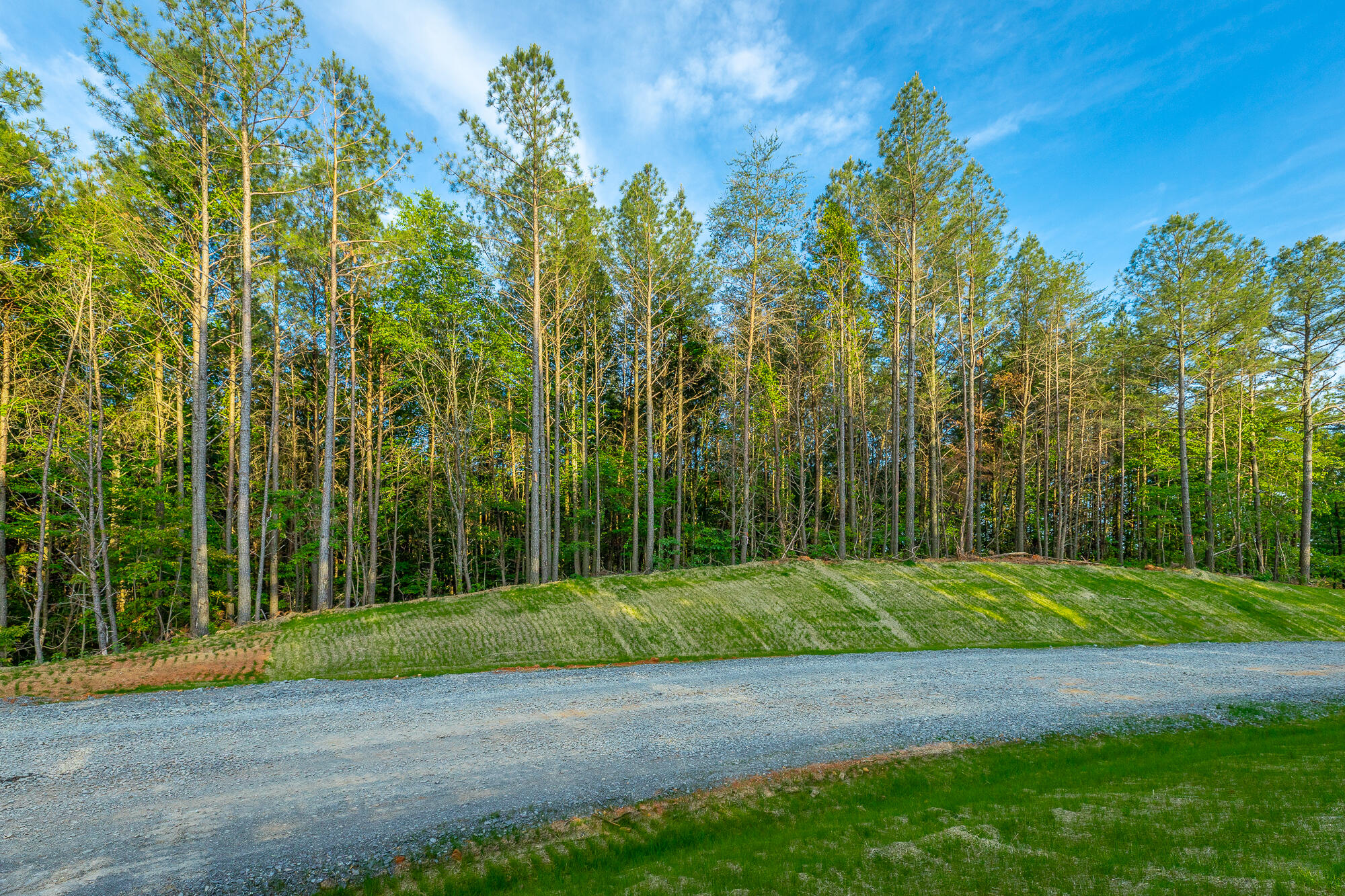 0 Cannon Way, Unit LOT 1317 Guild, TN 37340 - Photo 15 of 99 0 Cannon Way - Lot 1317 HD-61