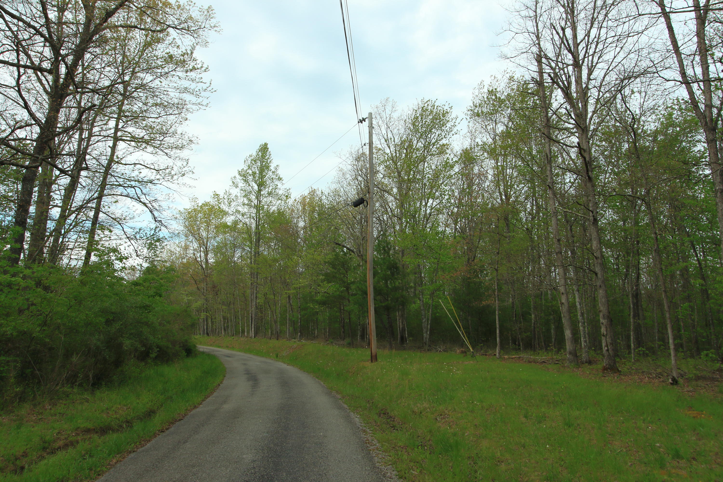 8.5-acres Joe Branch Road Allardt, TN 38504 - Photo 8 of 8 jb8