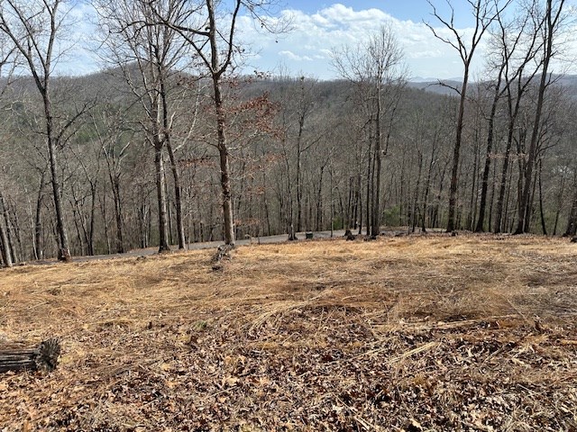8 Thunder Road Hayesville, NC 28904 - Photo 4 of 9 Gallery Image 4