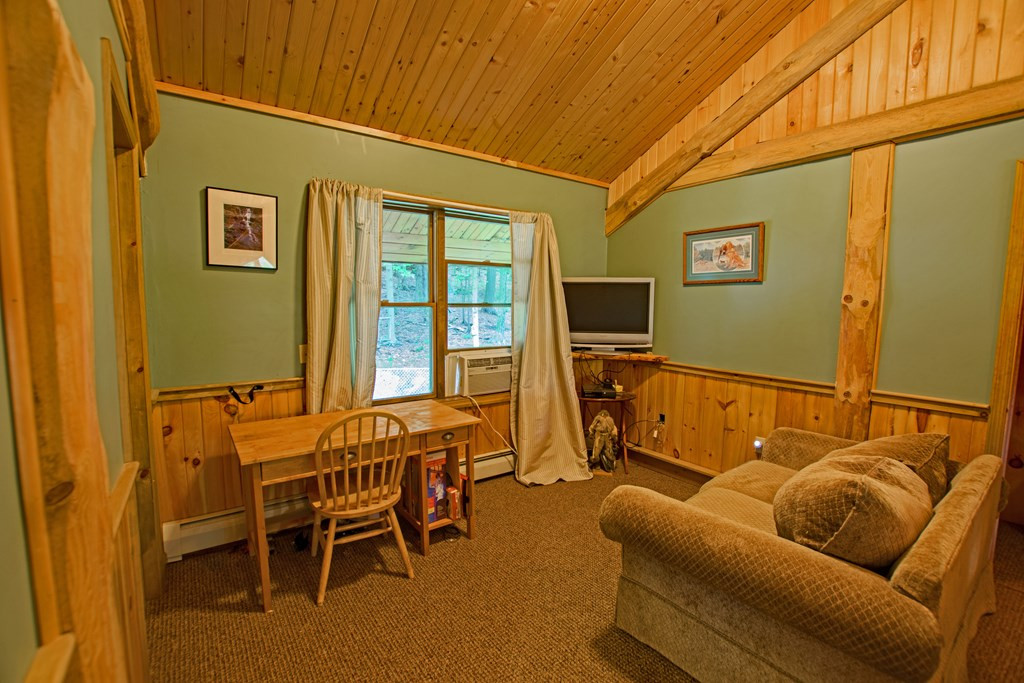 117 Gaiety Road Inlet, NY 13360 - Photo 23 of 36 Gallery Image 23