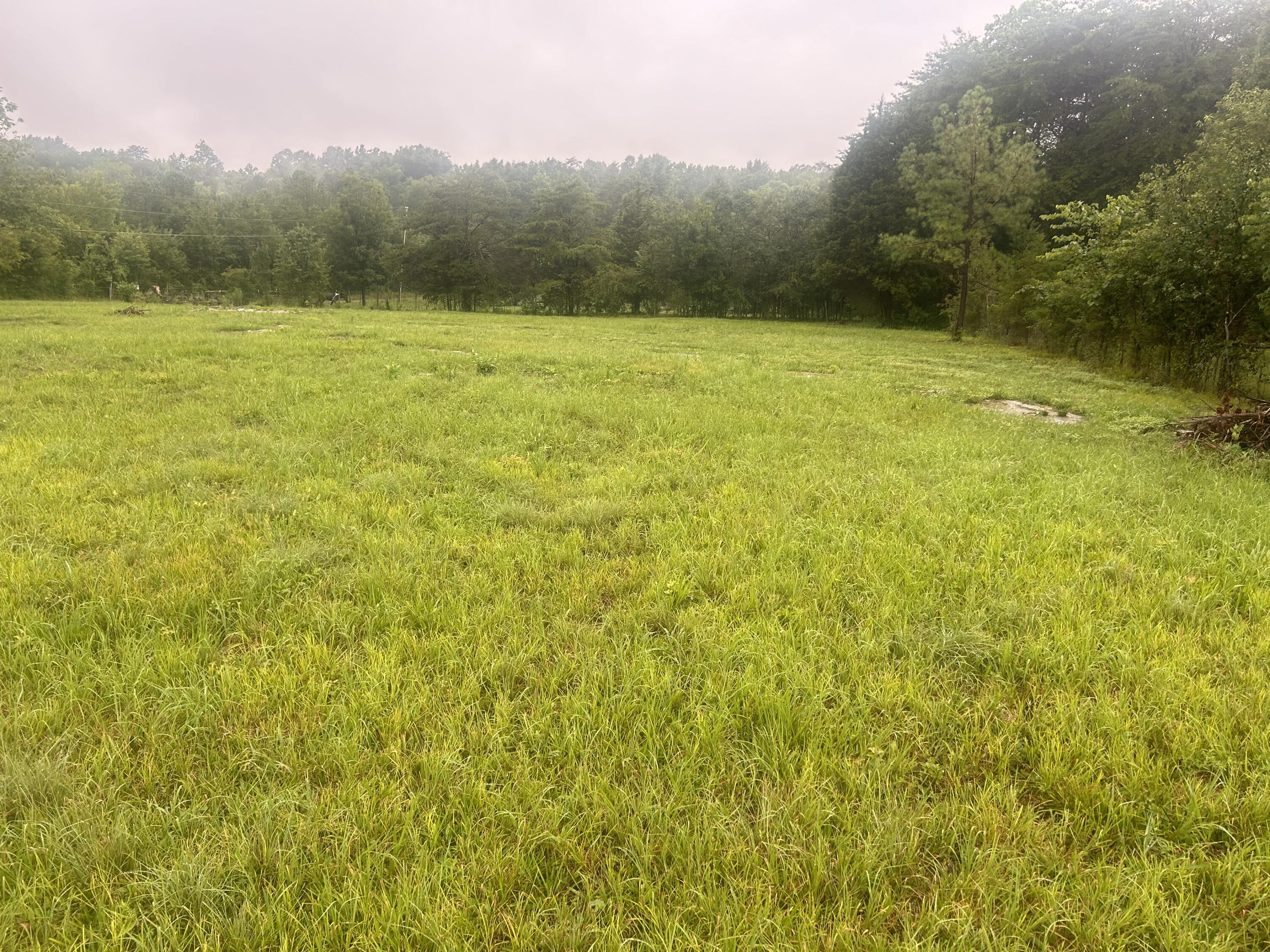 270 Deerfield Road Chickamauga, GA 30707 - Photo 2 of 7 IMG_1798