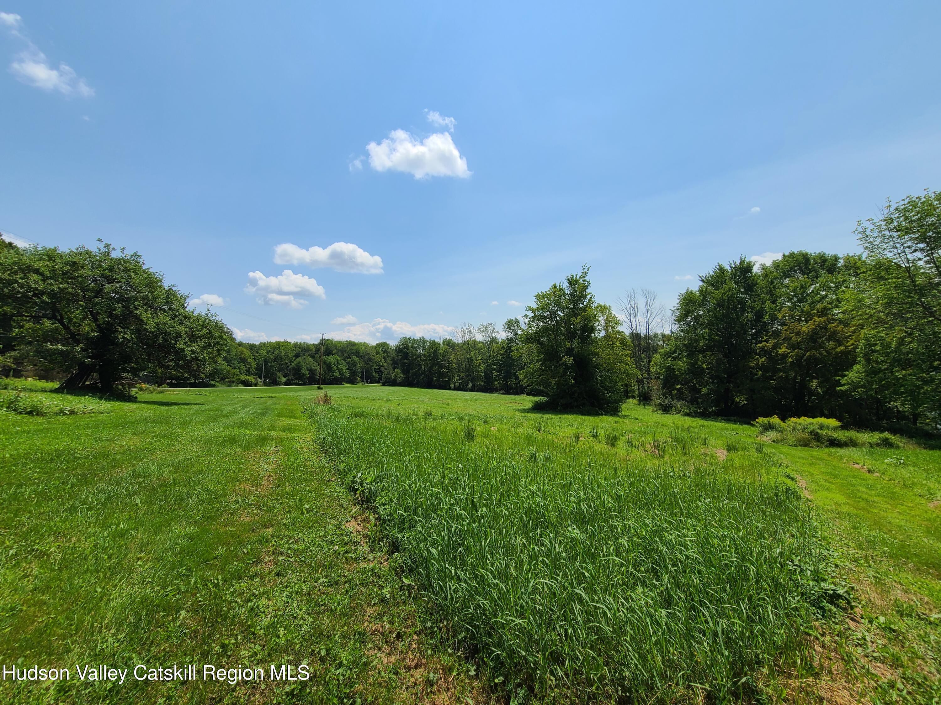301 Stump Pond Road Livingston Manor, NY 12758 - Photo 36 of 49 a view of a golf course with a lake