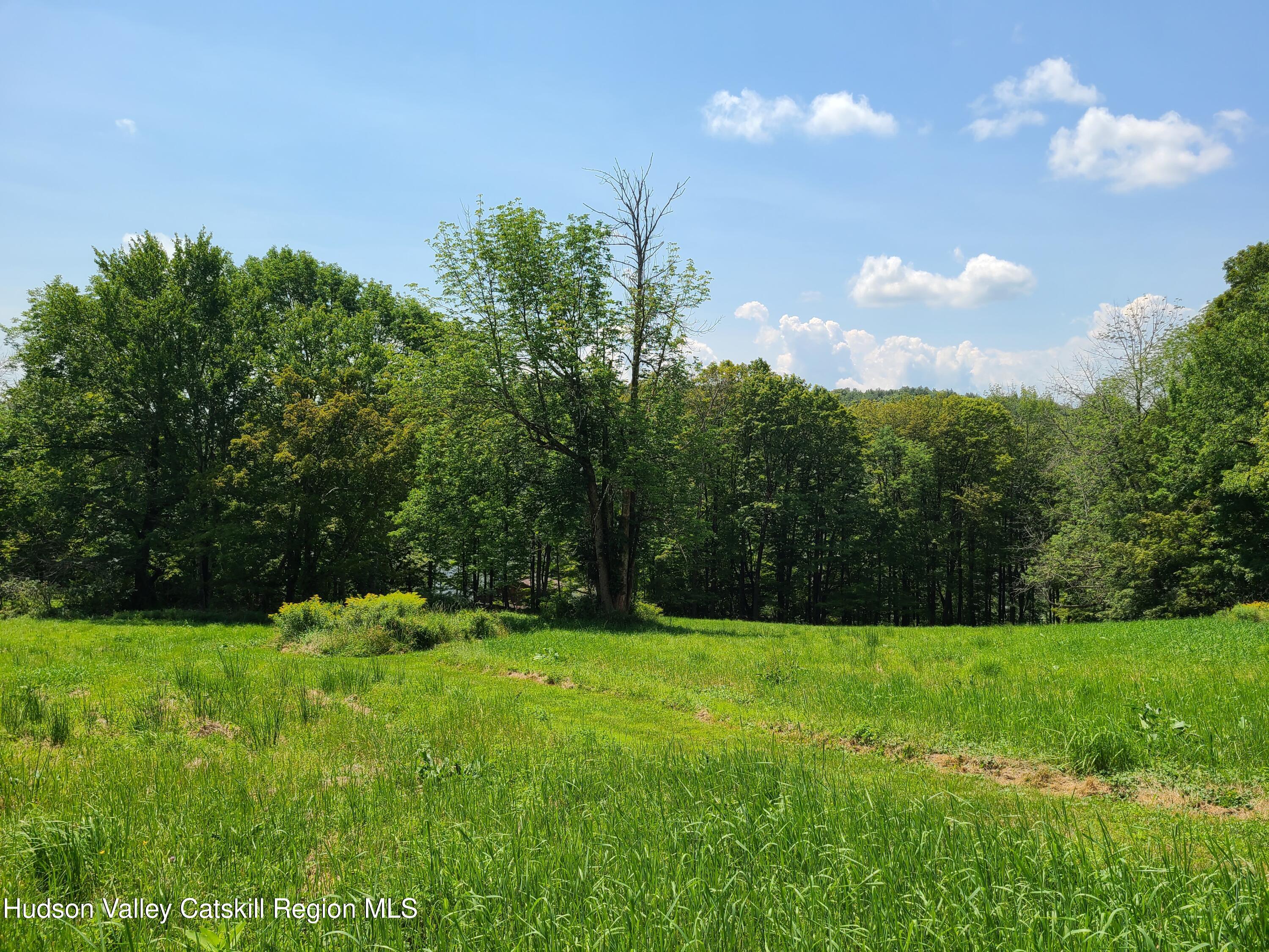 301 Stump Pond Road Livingston Manor, NY 12758 - Photo 37 of 49 a view of green field with trees in the background