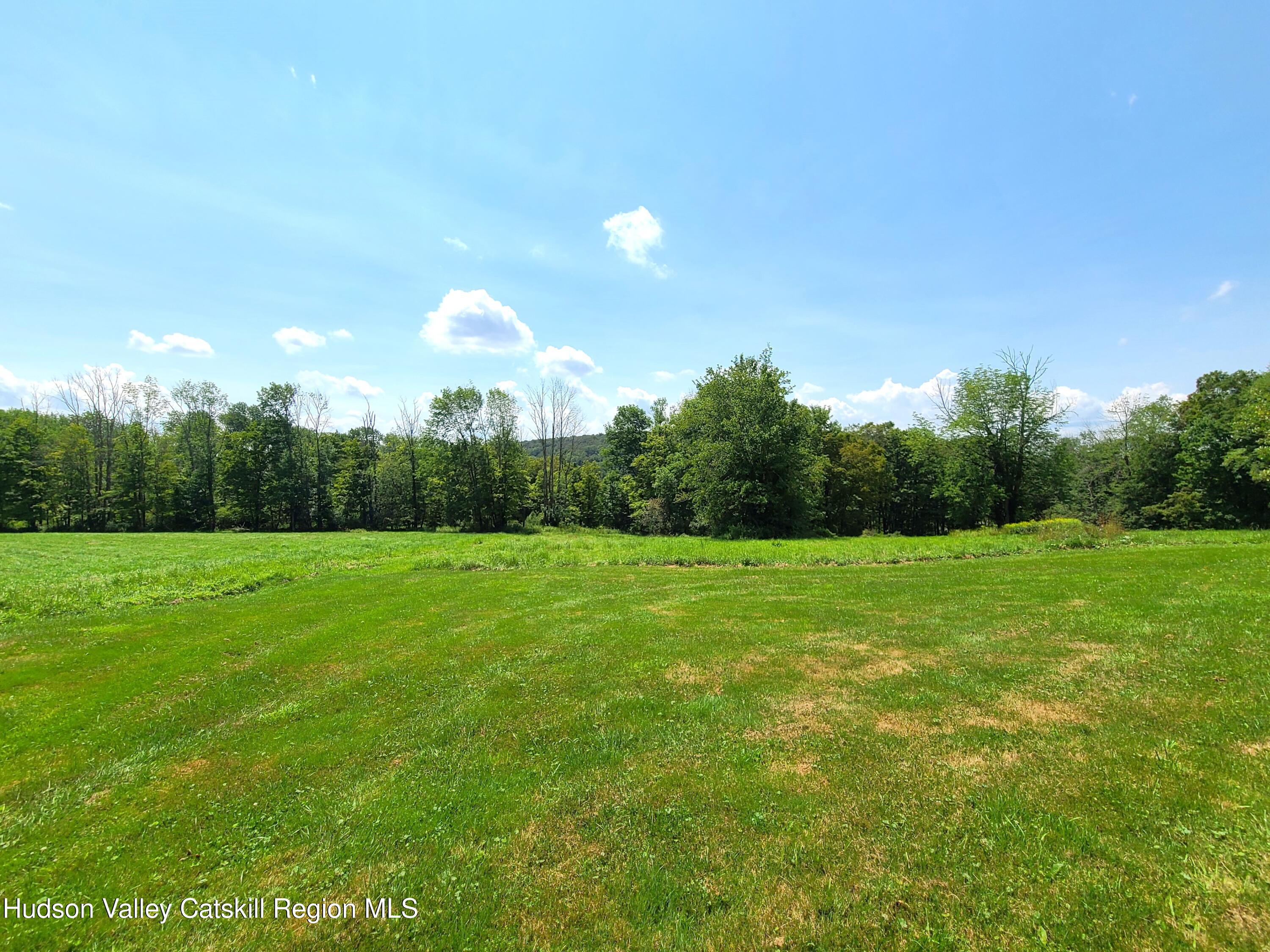301 Stump Pond Road Livingston Manor, NY 12758 - Photo 38 of 49 a view of a golf course with a lake