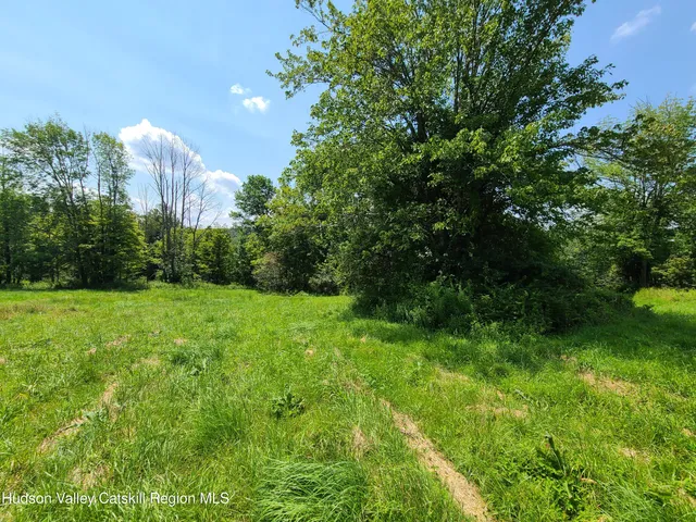 a view of a green yard