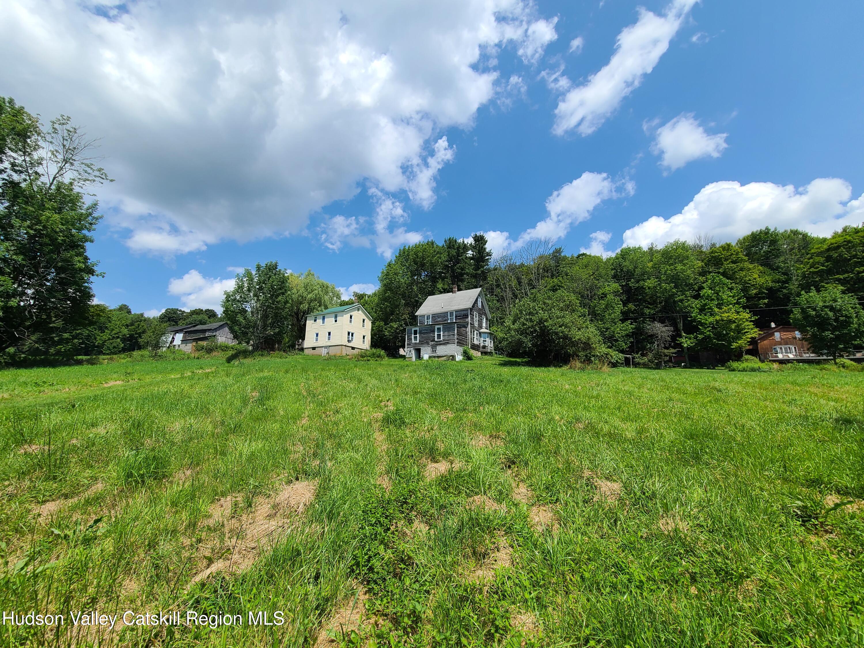 301 Stump Pond Road Livingston Manor, NY 12758 - Photo 41 of 49 a view of a house with a big yard