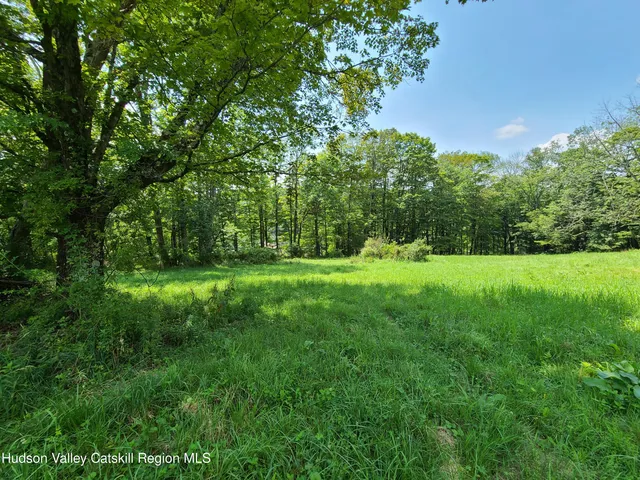 a view of green field with trees in the background
