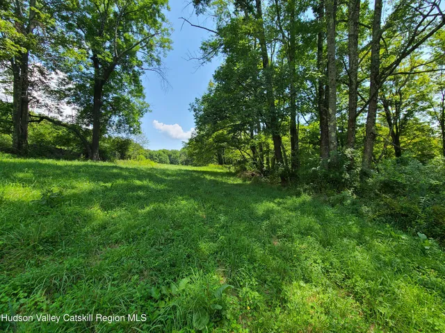 a view of an outdoor space and a yard