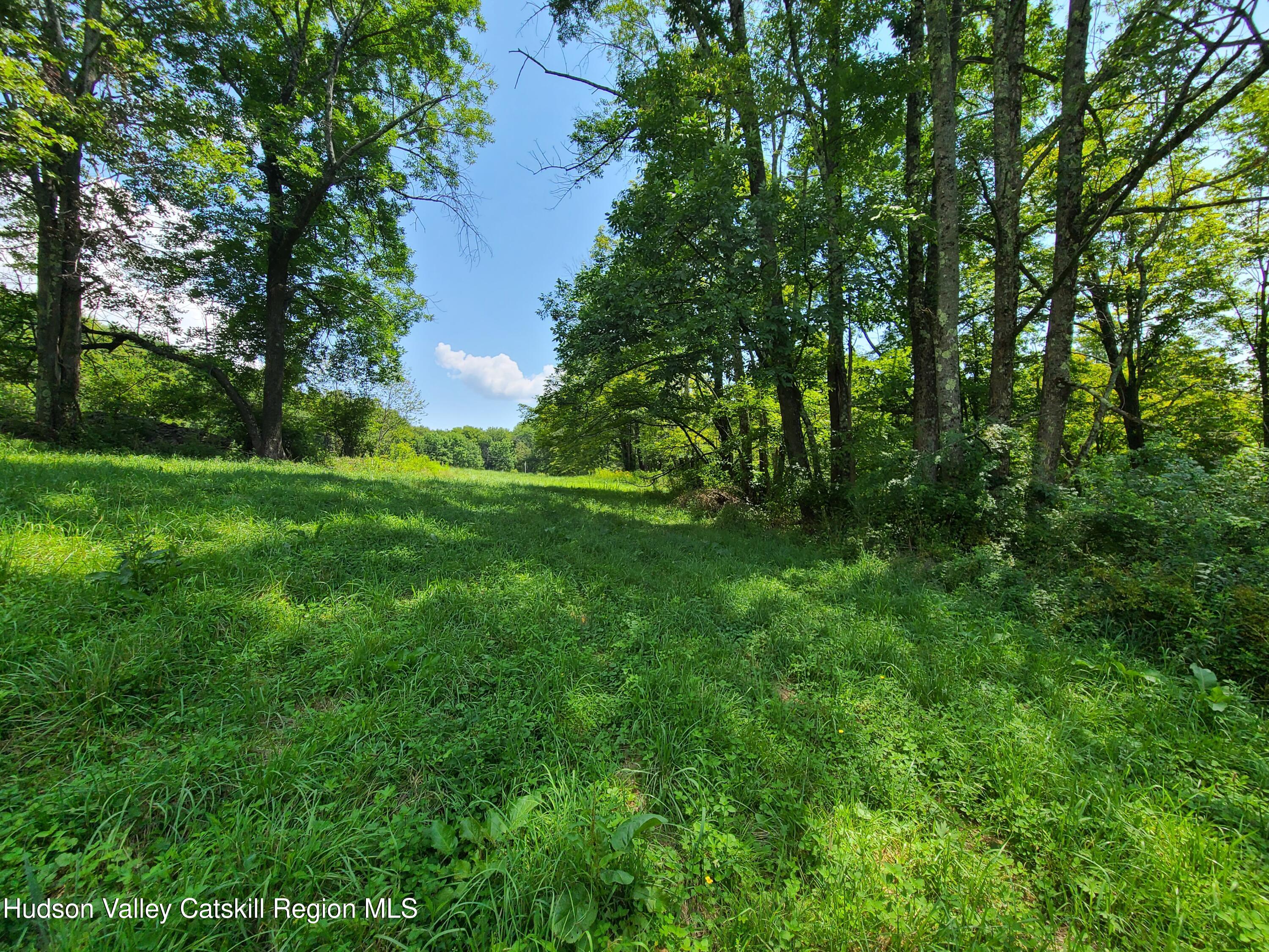301 Stump Pond Road Livingston Manor, NY 12758 - Photo 43 of 49 a view of an outdoor space and a yard