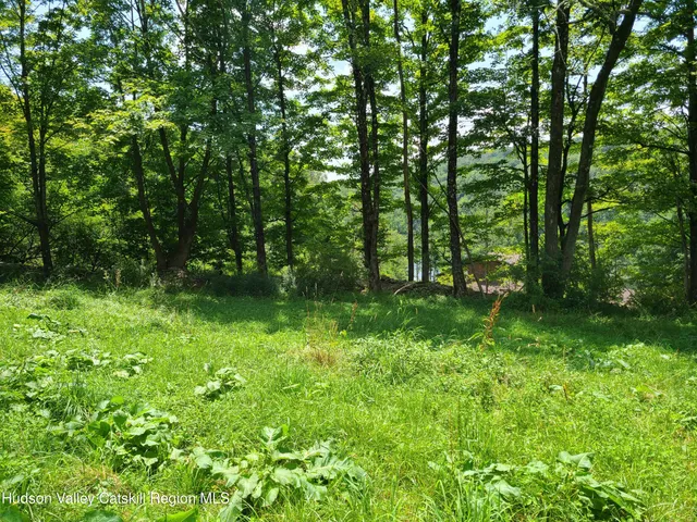 a backyard of a house with lots of green space and fountain