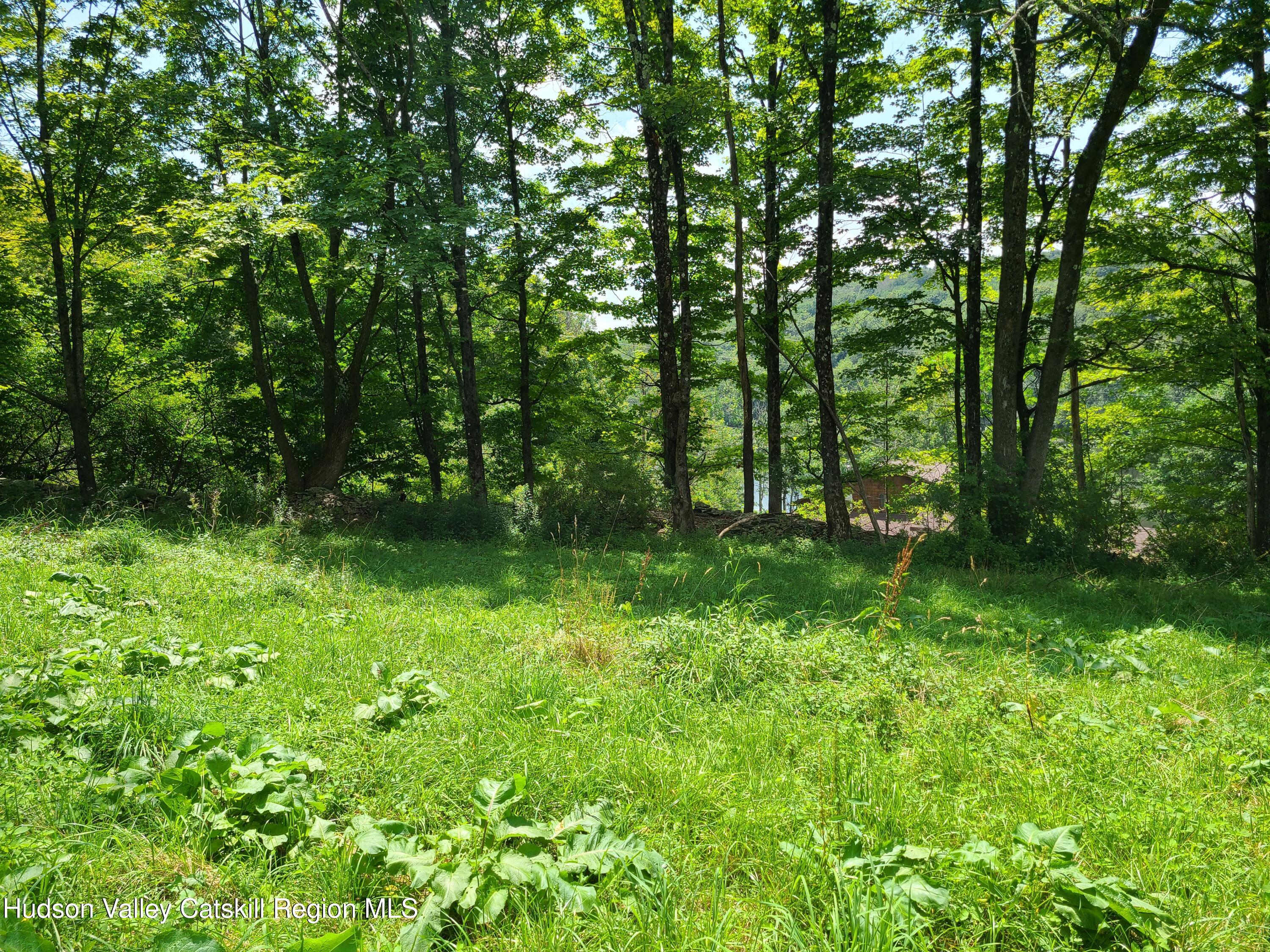 301 Stump Pond Road Livingston Manor, NY 12758 - Photo 44 of 49 a backyard of a house with lots of green space and fountain