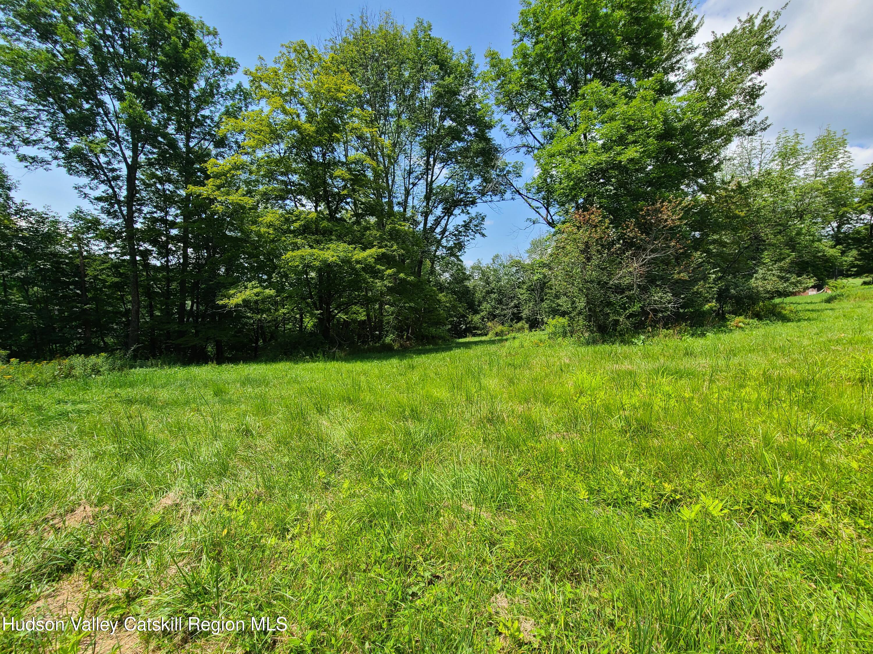 301 Stump Pond Road Livingston Manor, NY 12758 - Photo 45 of 49 a view of yard with green space