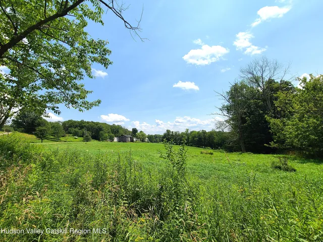 a view of a big yard with plants and large trees