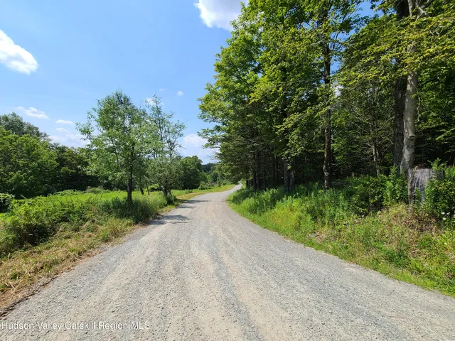 a view of a road with a trees in the background