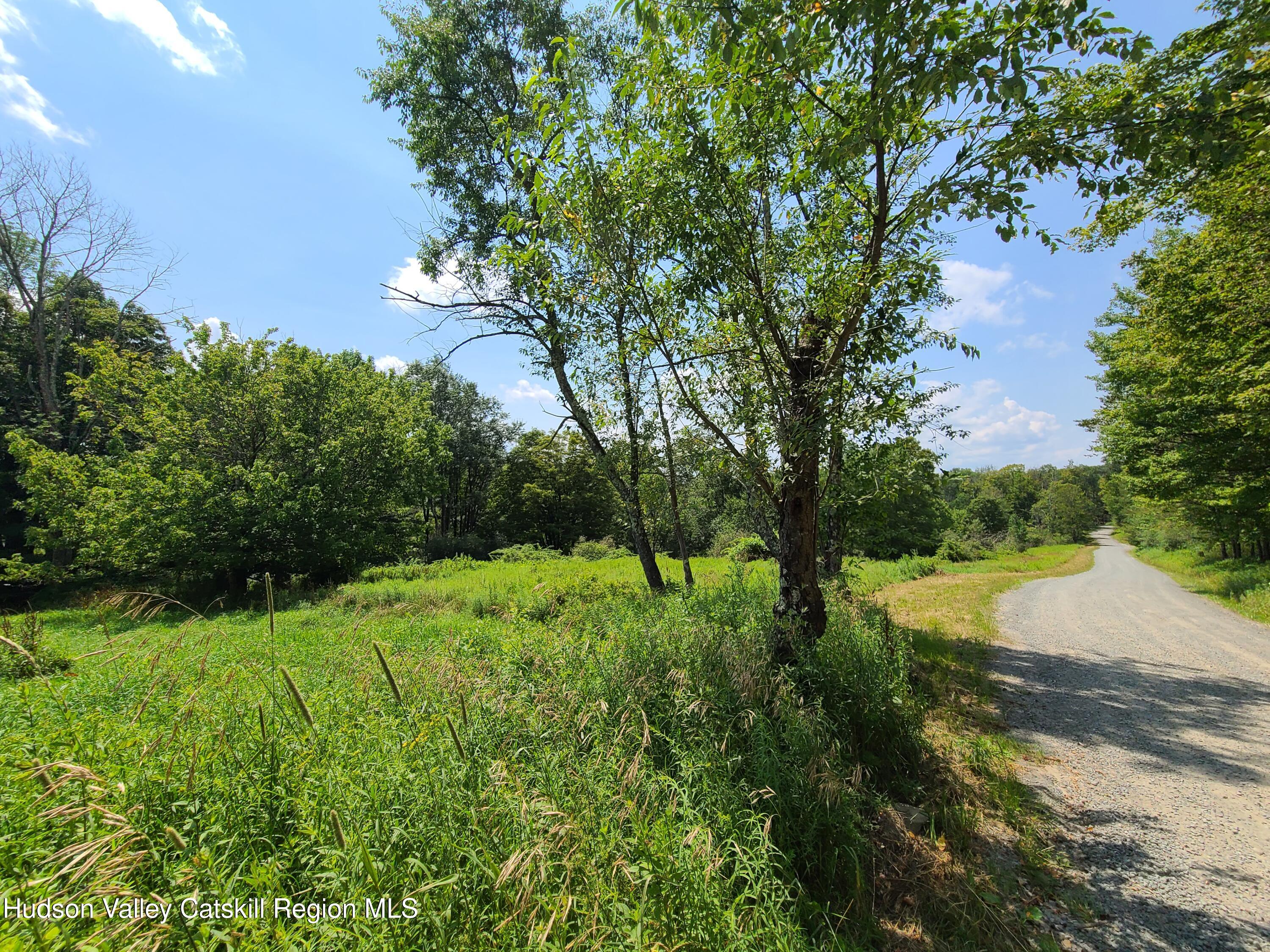301 Stump Pond Road Livingston Manor, NY 12758 - Photo 48 of 49 a view of a yard with plants and a large tree