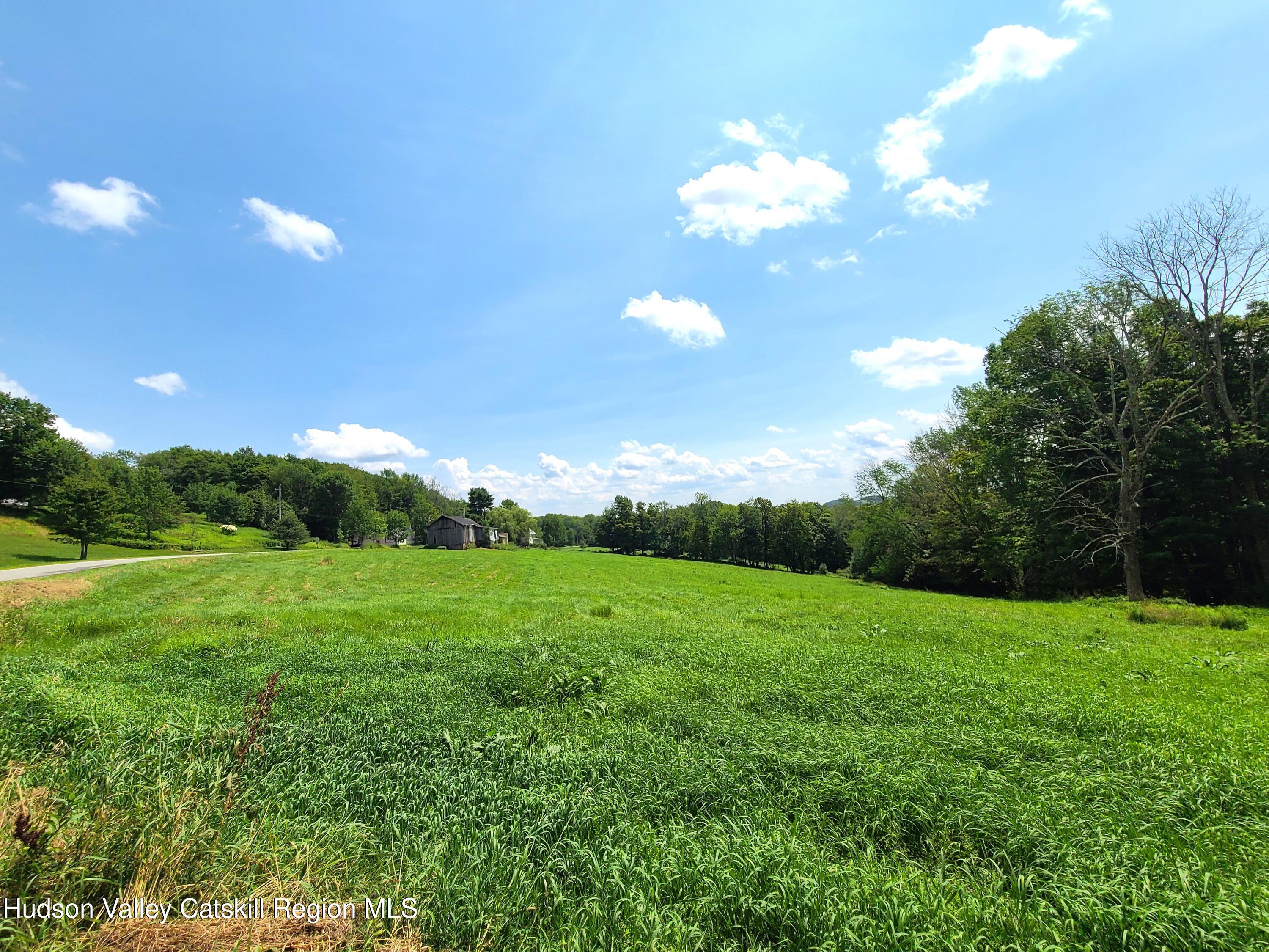 301 Stump Pond Road Livingston Manor, NY 12758 - Photo 7 of 49 a view of a big yard with lots of green space